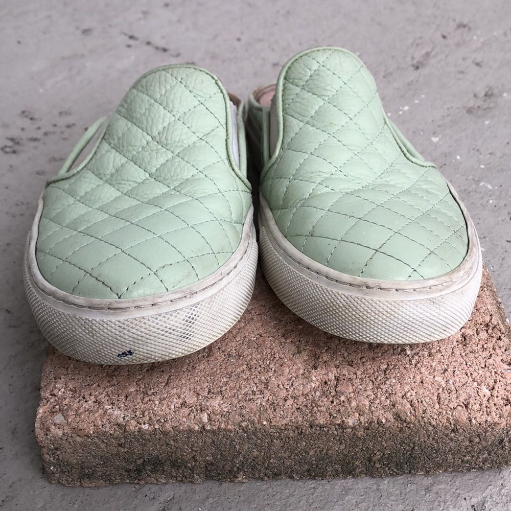 Del Toro Mules  - Picture 5 of 9